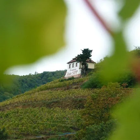 Domaine Jean Sipp 3* Ribeauvillé