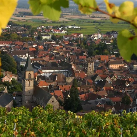 Domaine Jean Sipp 3*