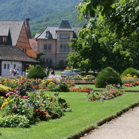Domaine Jean Sipp Penzion *